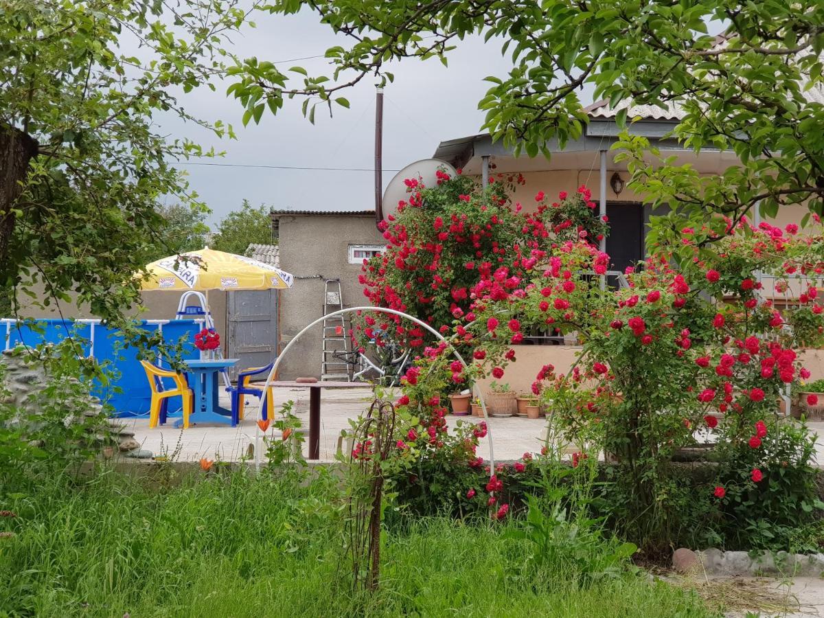 Family Hotel Maia - Cемейная Гостиница Майя Dashbashi Buitenkant foto