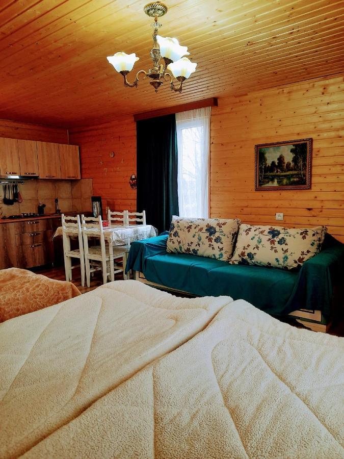 Family Hotel Maia - Cемейная Гостиница Майя Dashbashi Buitenkant foto