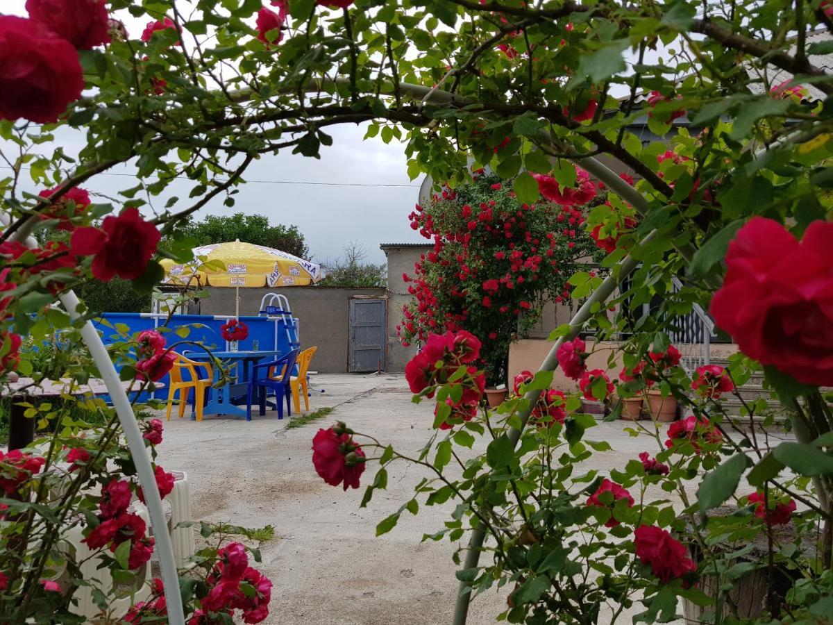 Family Hotel Maia - Cемейная Гостиница Майя Dashbashi Buitenkant foto